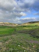 Vista aérea de la ubicación del desarrollo